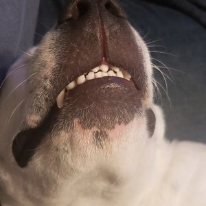 Meet your Posher, Shane